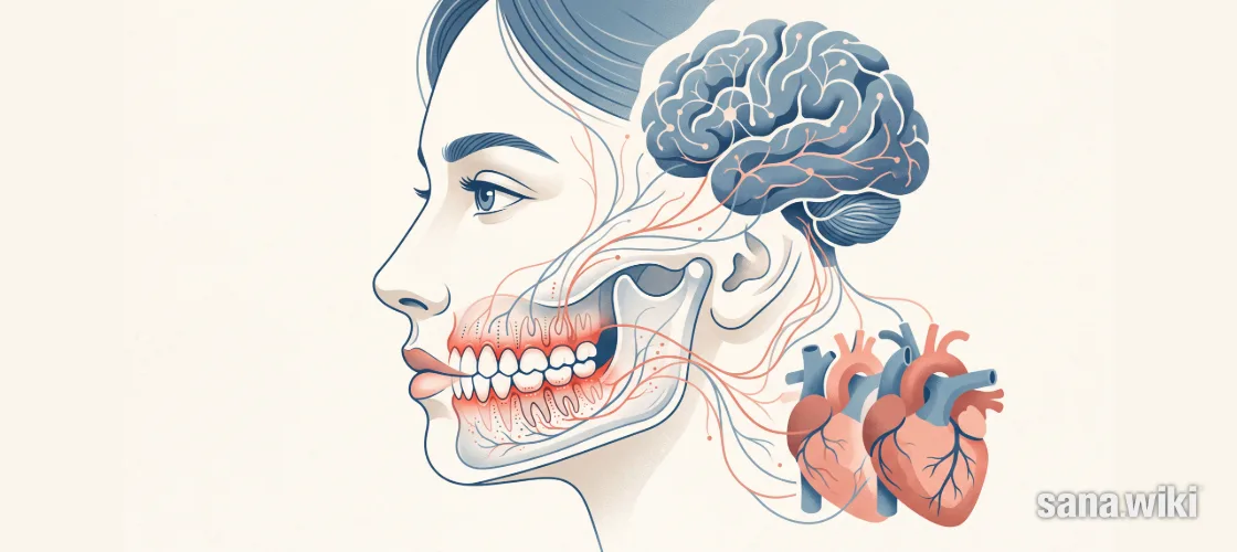 Zahnfleischentzündung ist nicht nur ein lokaler Befund. Sie kann mit Risiken für Herz und Gefäße, Stoffwechsel und andere Gesundheitsbereiche zusammenhängen – doch der Mund stellt keine Fern-Diagnose für den ganzen Körper.